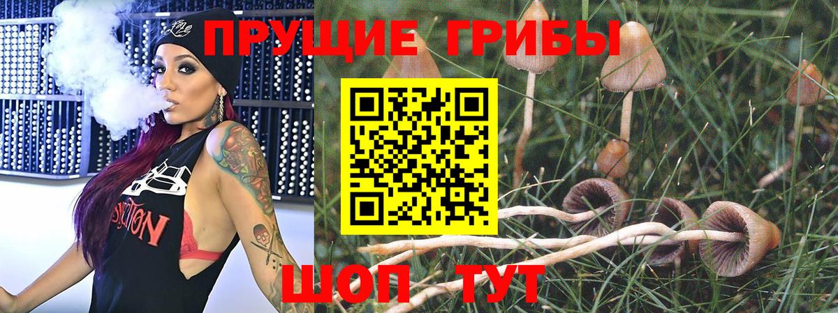 Лесозаводск  Псилоцибиновые грибы Psilocybine cubensis  Вход с VPN 